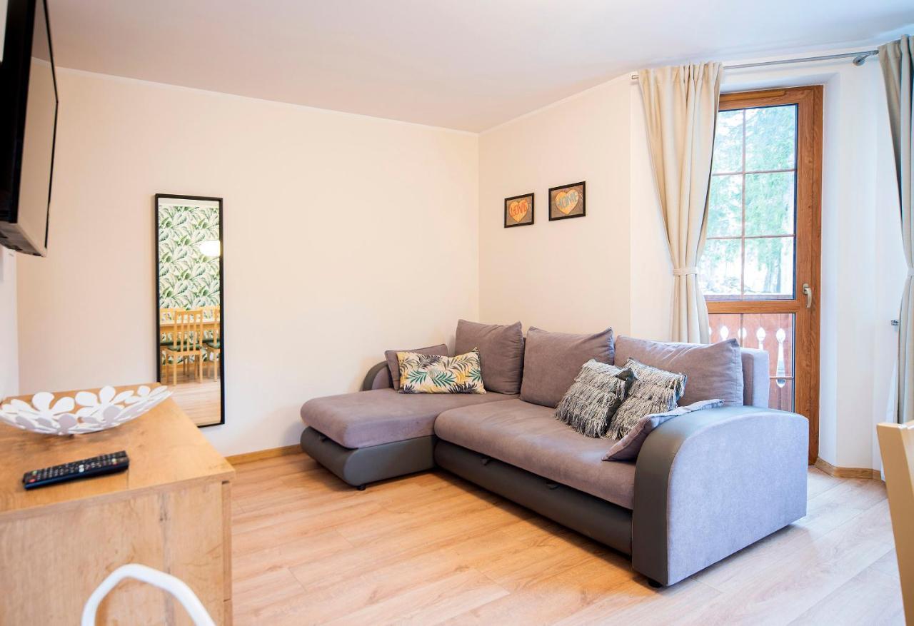 Apartamenty Sun & Ski Willa Nad Strumieniem Nadrzeczna 3D I 3E - Centrum 300M كارباش المظهر الخارجي الصورة